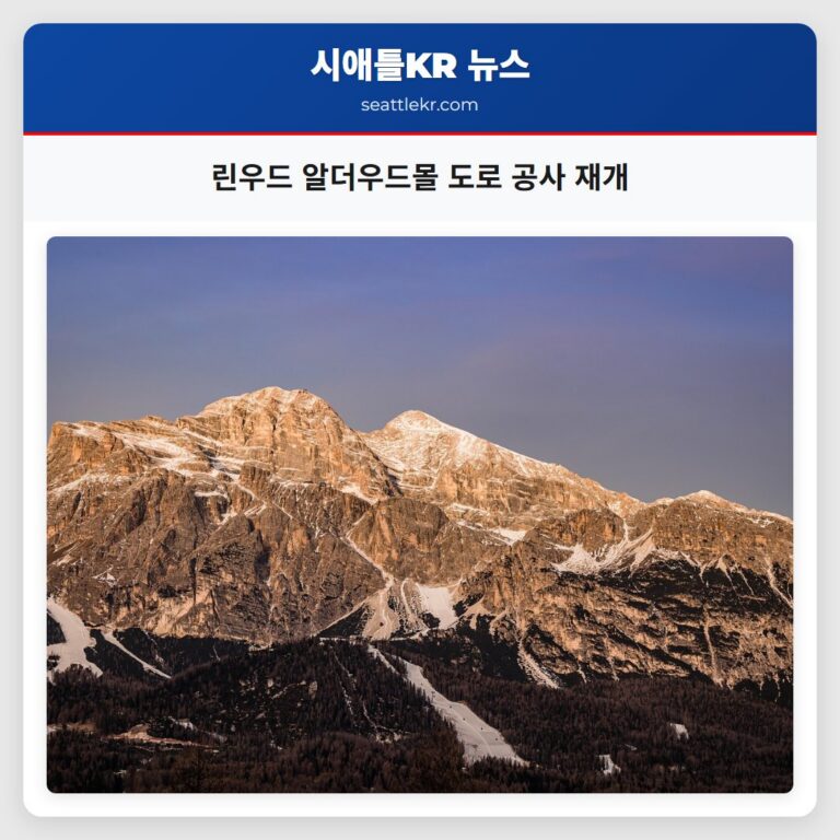 린우드 알더우드몰 도로 공사 재개