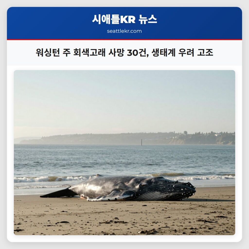 워싱턴 주 회색고래 사망 30건, 생태계 우려 고조