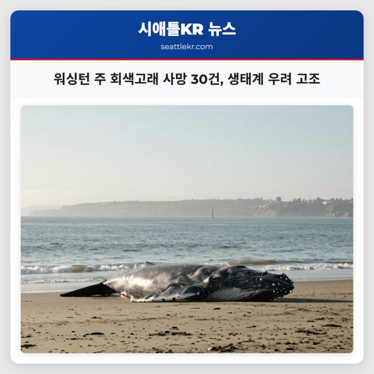 워싱턴 주 회색고래 사망 30건 생태계 우려 고조