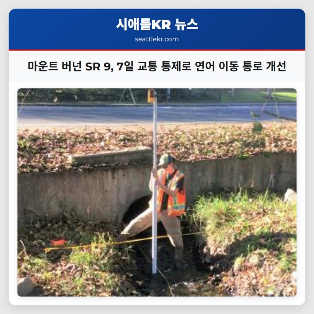 마운트 버넌 SR 9, 7일 교통 통제로 연어 이동 통로 개선