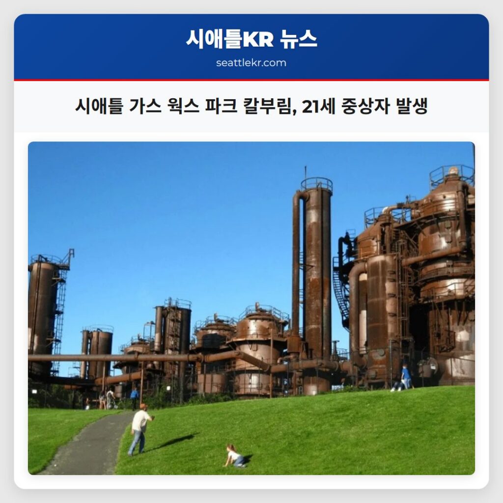 시애틀 가스 웍스 파크 칼부림, 21세 중상자 발생
