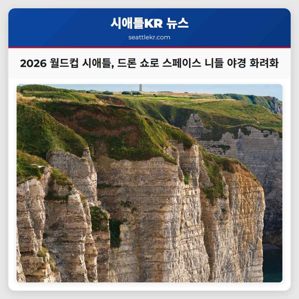 2026 월드컵 시애틀, 드론 쇼로 스페이스 니들 야경 화려화