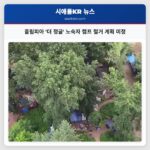 올림피아 더 정글 노숙자 캠프 철거 계획 미정