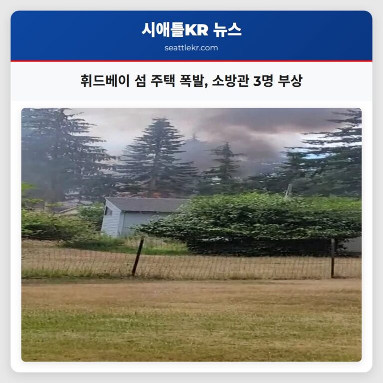 휘드베이 섬 주택 폭발 소방관 3명 부상