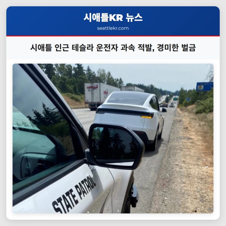시애틀 인근 테슬라 운전자 과속 적발 경미한 벌금
