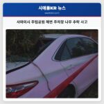 사마미시 주립공원 해변 주차장 나무 추락 사고