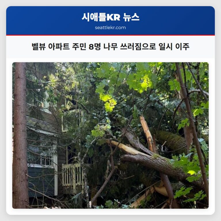 벨뷰 아파트 주민 8명 나무 쓰러짐으로 일시 이주