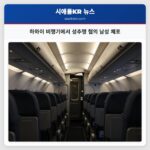 하와이 비행기에서 성추행 혐의 남성 체포