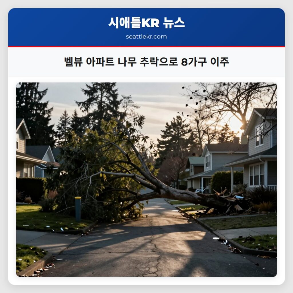 벨뷰 아파트 나무 추락으로 8가구 이주