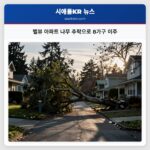 벨뷰 아파트 나무 추락으로 8가구 이주