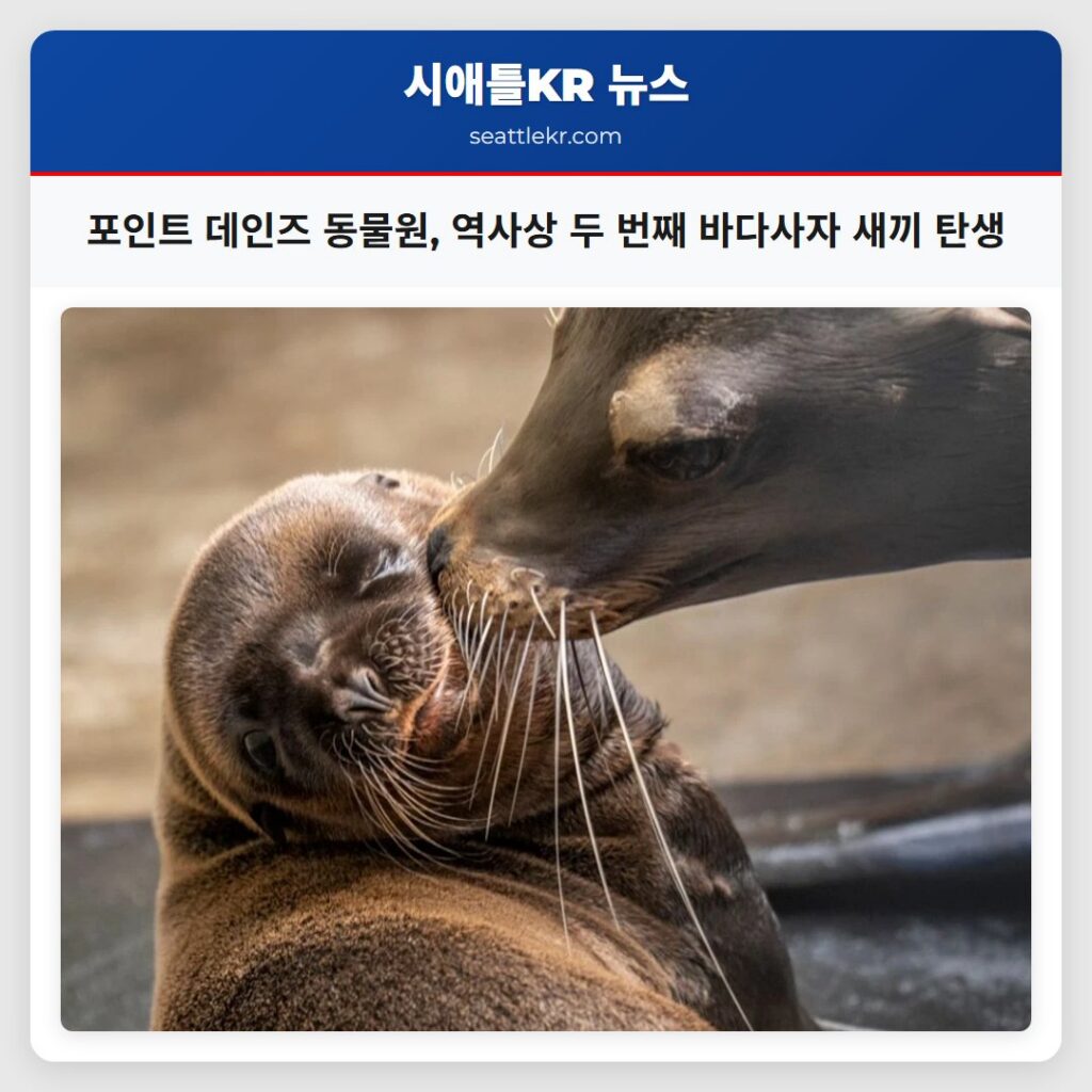 포인트 데인즈 동물원, 역사상 두 번째 바다사자 새끼 탄생
