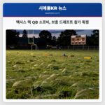 텍사스 텍 QB 소르비 보충 드래프트 참가 확정