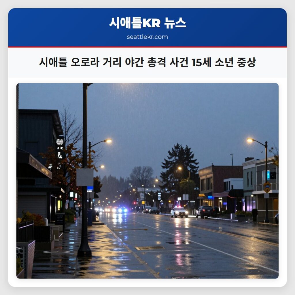 시애틀 오로라 거리 야간 총격 사건 15세 소년 중상