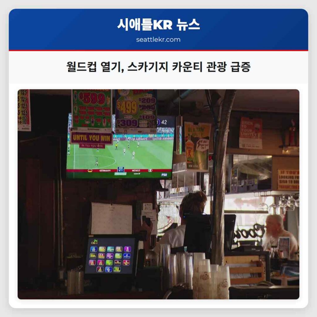 월드컵 열기, 스카기지 카운티 관광 급증