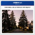 오로라 애비뉴 시위 성 착취와 총기 폭력 해결 촉구