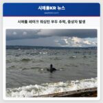 시애틀 레이크 워싱턴 부두 추락 중상자 발생