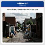 애리조아 아동 시애틀 야생지대에서 안전 구출