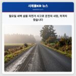 월요일 새벽 삼륜 자전거 사고로 운전자 사망 목격자 찾습니다