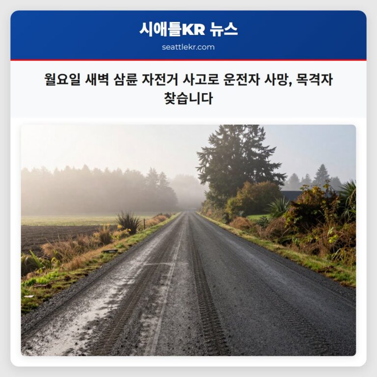 월요일 새벽 삼륜 자전거 사고로 운전자 사망 목격자 찾습니다