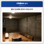 벨뷰 인신매매 용의자 보석금 유지