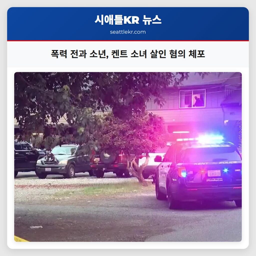 폭력 전과 소년, 켄트 소녀 살인 혐의 체포