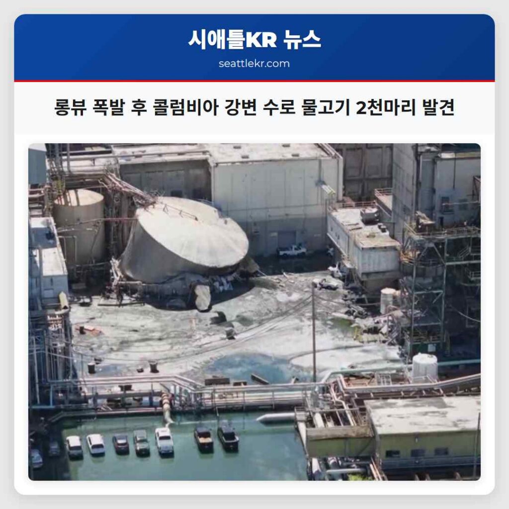 롱뷰 폭발 후 콜럼비아 강변 수로 물고기 2천마리 발견
