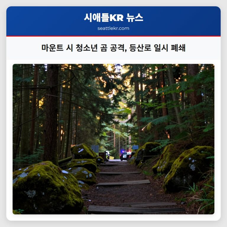 마운트 시 청소년 곰 공격 등산로 일시 폐쇄