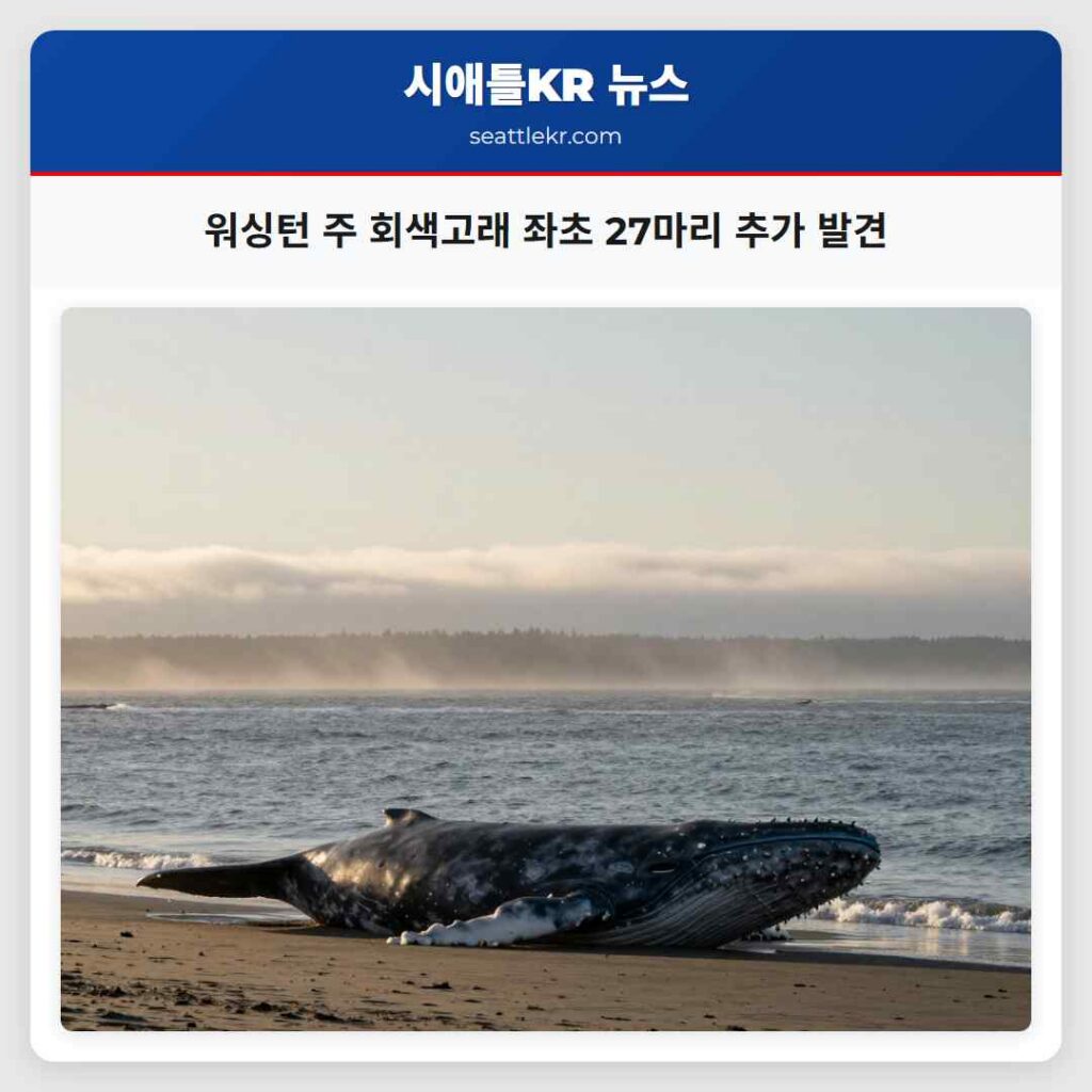 워싱턴 주 회색고래 좌초 27마리 추가 발견