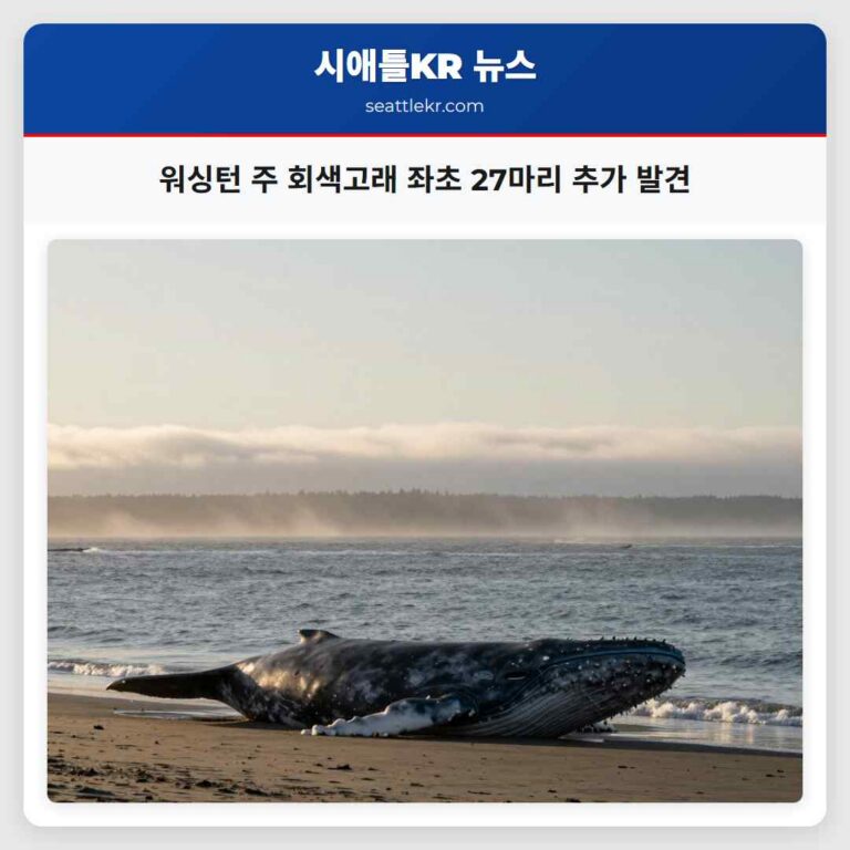 워싱턴 주 회색고래 좌초 27마리 추가 발견