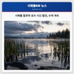 시애틀 할로어 호수 시신 발견 수색 계속