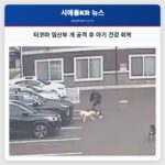 타코마 임산부 개 공격 후 아기 건강 회복