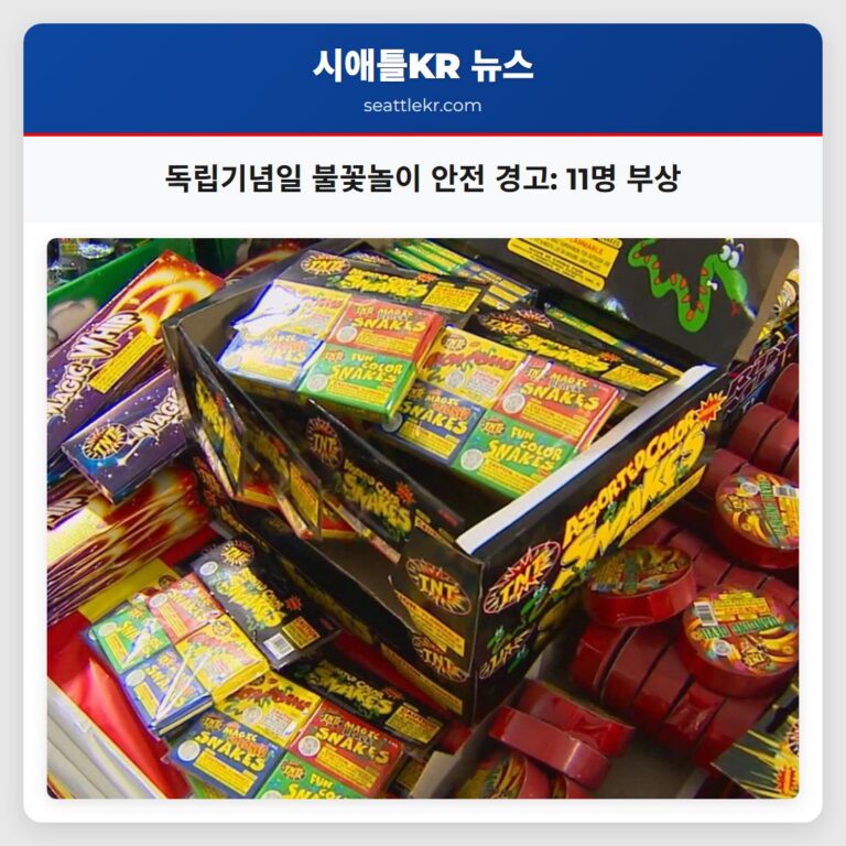 독립기념일 불꽃놀이 안전 경고 11명 부상