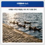 시애틀 수족관 해달들 미국 축구 응원 준비
