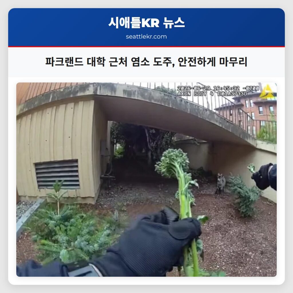 파크랜드 대학 근처 염소 도주, 안전하게 마무리