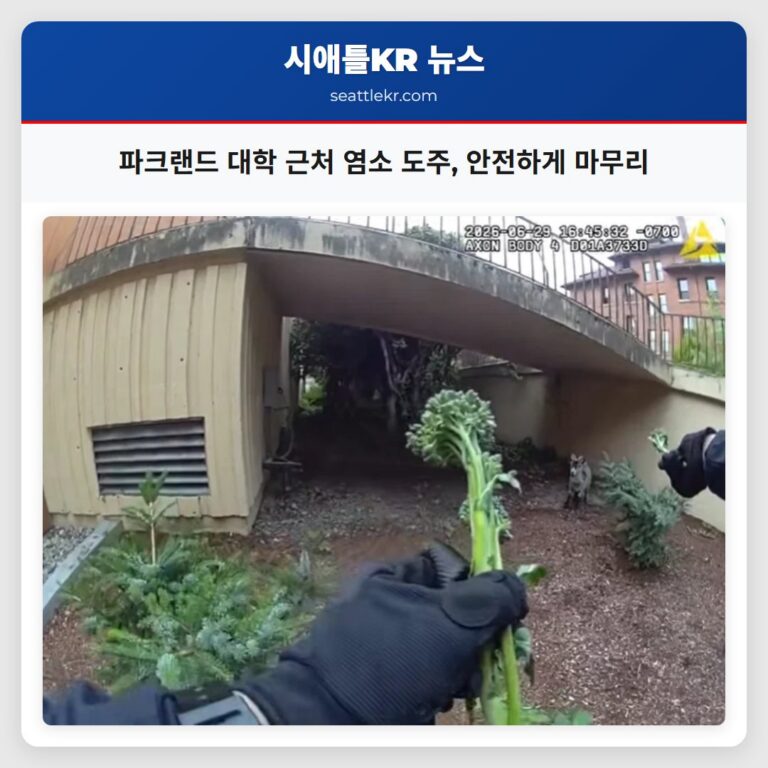 파크랜드 대학 근처 염소 도주 안전하게 마무리