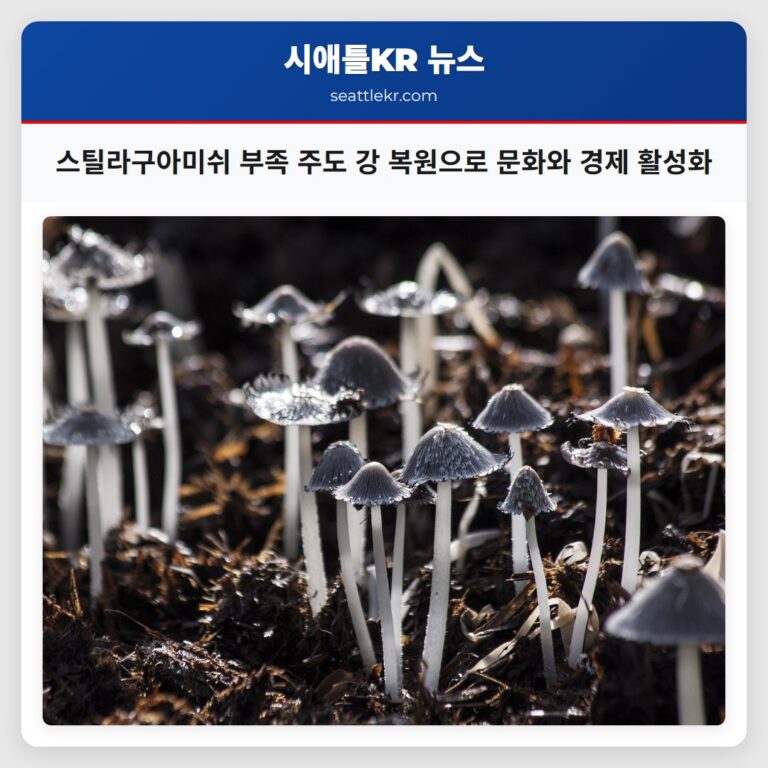 스틸라구아미쉬 부족 주도 강 복원으로 문화와 경제 활성화