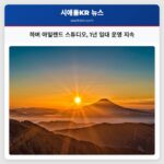 하버 아일랜드 스튜디오 1년 임대 운영 지속