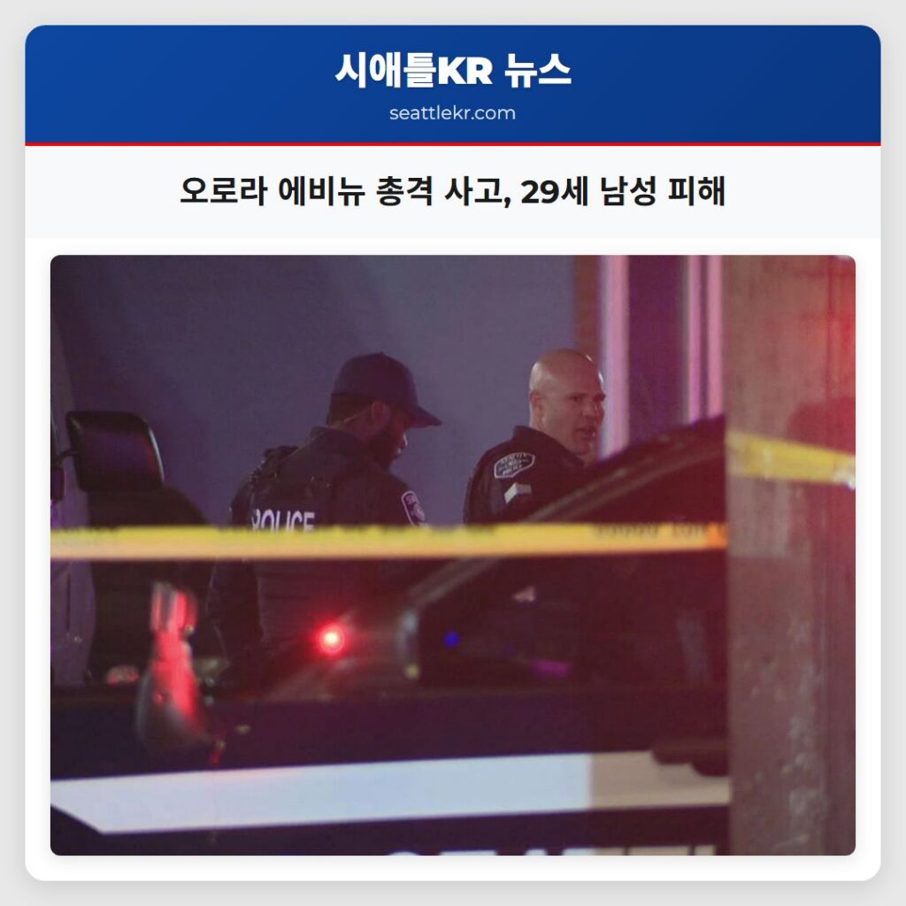 오로라 에비뉴 총격 사고, 29세 남성 피해