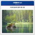 타코마 밤사이 총격 1명 사망