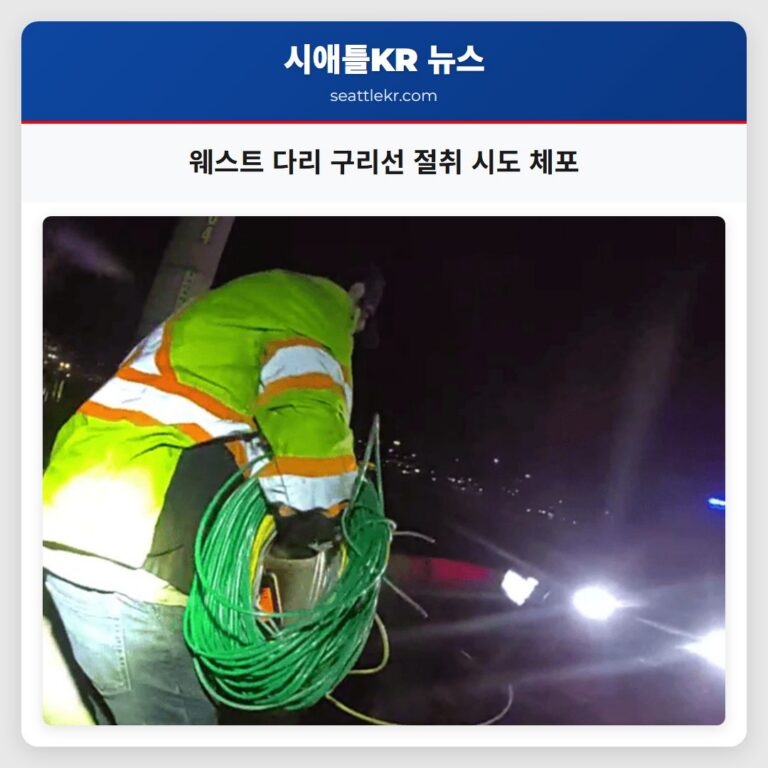 웨스트 다리 구리선 절취 시도 체포