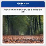테일러 스위프트와 트래비스 켈시 결혼 전 2600만 달러 기부