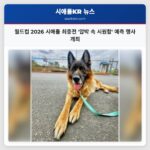 월드컵 2026 시애틀 최종전 압박 속 시원함 예측 행사 개최