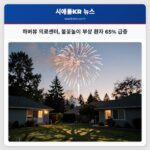 하버뷰 의료센터 불꽃놀이 부상 환자 65% 급증