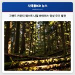 그랜드 카운티 웨스트 나일 바이러스 양성 모기 발견