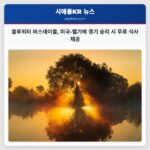 블루워터 비스테이블 미국-벨기에 경기 승리 시 무료 식사 제공