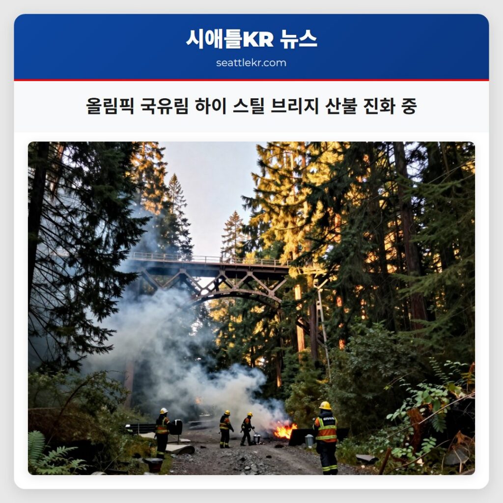 올림픽 국유림 하이 스틸 브리지 산불 진화 중