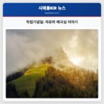 독립기념일 자유와 애국심 이야기