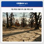 7월 폭염·가뭄으로 산불 위험 급증