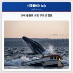 고래 출몰로 소방 구조선 침몰