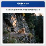 스노호미시 절벽 70피트 추락한 20세 반려견 구조